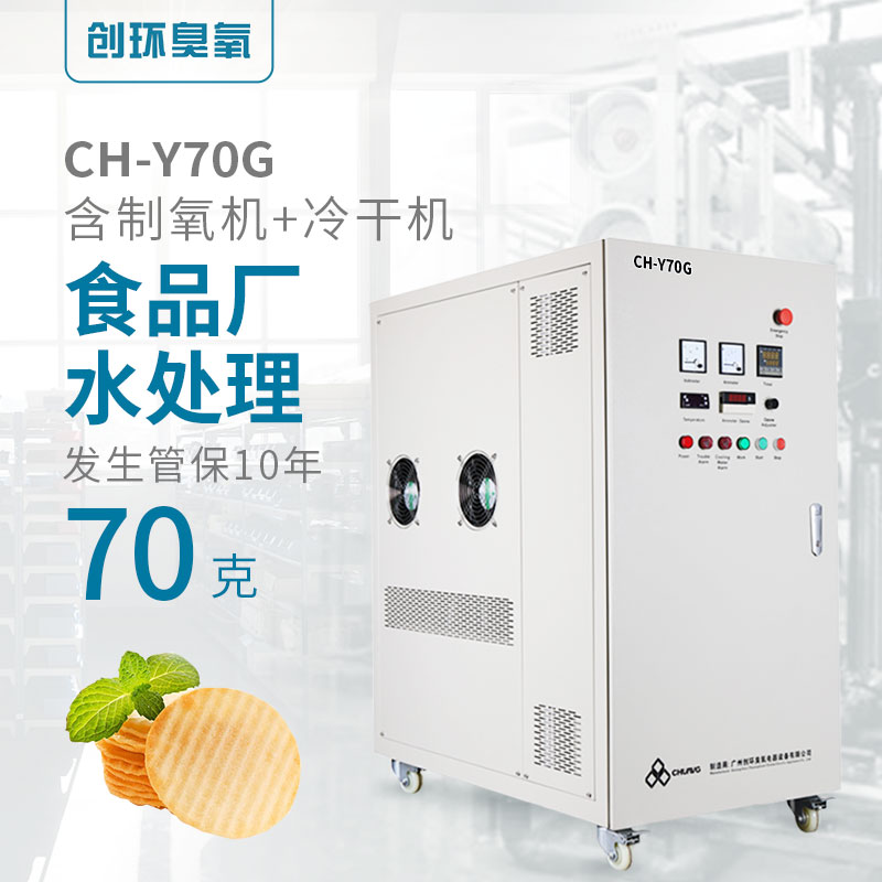 CH-Y高濃度氧氣源水冷一體機70g/h