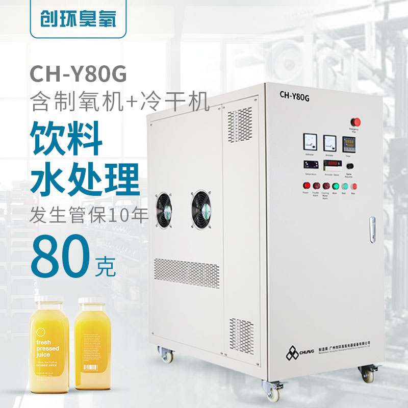 CH-Y高濃度氧氣源水冷一體機80g/h